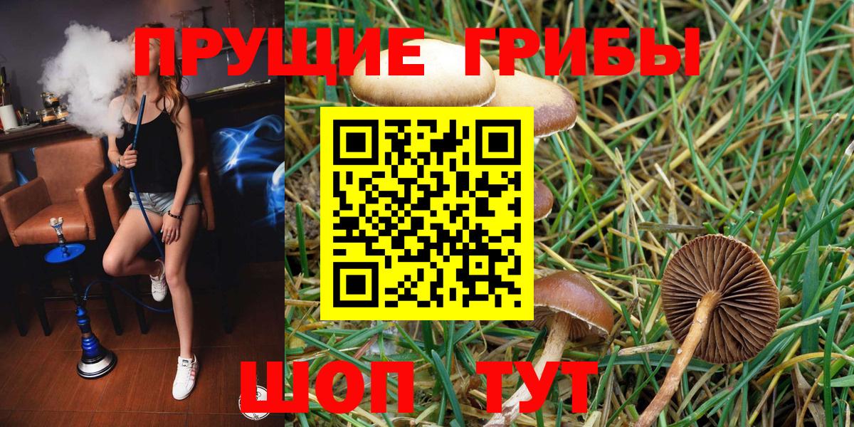 Галлюциногенные грибы мицелий Вязьма