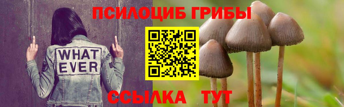 Псилоцибиновые грибы ЛСД  хочу наркоту  Вход с VPN  Вязьма  Псилоцибиновые грибы GOLDEN TEACHER 